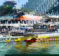 Speedboat Sightseeing Tour of Miami - Accommodation Houston