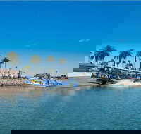 San Diego Seal Tour - Accommodation Houston