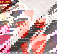 Big Bus Chicago Hop-On Hop-Off Tour - Accommodation Houston