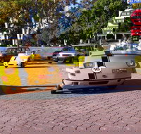 GoCar  Speedboat Land and Sea Adventure in San Diego - Accommodation Houston