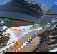 Exclusive San Diego Harbor Speed Boat Electric Scooter and USS Midway Tour - Accommodation Houston