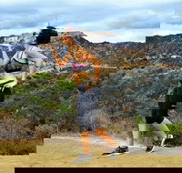 Griffith Observatory Hike Hollywood Hills Walk in Griffith Park - Accommodation Houston