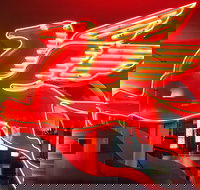 JFK Food and Culture Tour in Dallas - Accommodation Houston