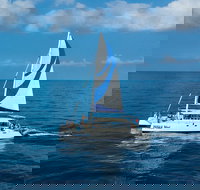 Afternoon Sail  Snorkel to the Captain Cook Monument - Accommodation Houston