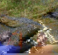 Everglades Tour in Miami - Accommodation Houston