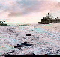 Private Half-Day Tour of San Diego with a driver-guide - Accommodation Houston