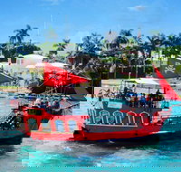 Pirates Adventures Sightseeing Tour from Miami - Accommodation Houston