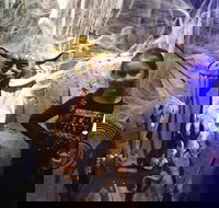 VIP Tour- The Galaxy Connection - Accommodation Houston