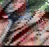 Participate in a Fun Scavenger Hunt in Little Rock by Zombie Scavengers - Accommodation Houston