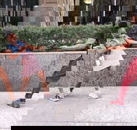 Little Rock City Scavenger Hunt Excursion by Operation City Quest - Accommodation Houston