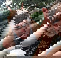 Little Rock City Scavenger Hunt Excursion by Wacky Walks - Accommodation Houston