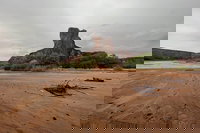 Arizona State Univ Az Accommodation Houston