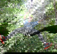 10 Zip Line Zip Tour 1.5 hours - Accommodation Houston