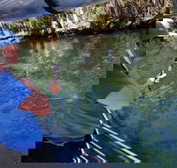 Manatee Viewing Cruise - Accommodation Houston