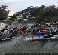 Clear Kayak Tour of Crystal River - Accommodation Houston