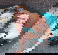 Fun City Scavenger Hunt in Hartford by Zombie Scavengers - Accommodation Houston