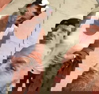 Explore Hartford with a Unique Scavenger Hunt by Crazy Dash - Accommodation Houston