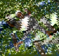 Fields of Fire Adventure Park Admission Ticket - Accommodation Houston