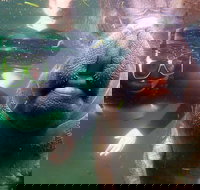 Private Manatee Tour - Accommodation Houston