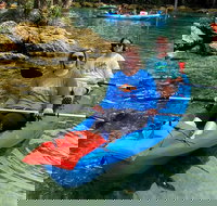 Full Day Tandem Kayak Rental For Two People In Crystal River Florida - Accommodation Houston