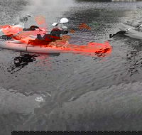 4 Hour Single Kayak Rental In Crystal River Florida - Accommodation Houston