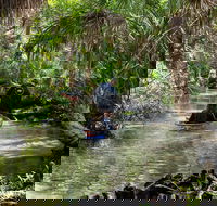 Clear Kayak Tours on Chassahowitzka River - Accommodation Houston