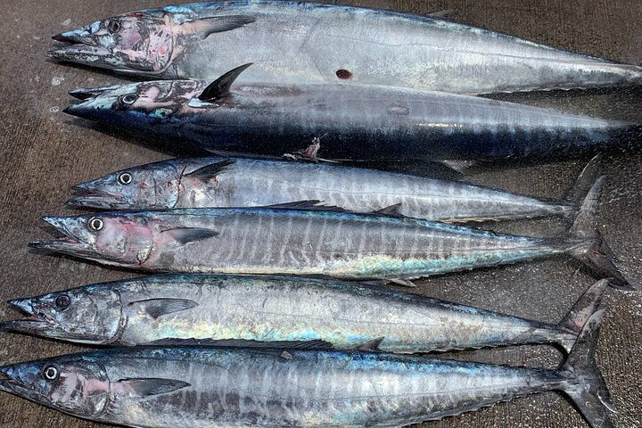 1/2 Day Kona Sportfishing Charter - thumb 1
