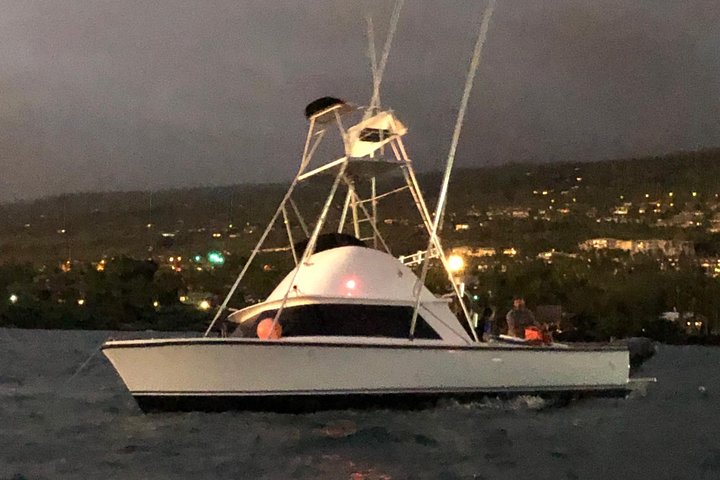 1/2 Day Kona Sportfishing Charter - thumb 3