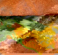 Culinary and Cultural Tour of Boise - Accommodation Houston