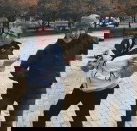 Adventurous Scavenger Hunt in Ann Arbor by Zombie Scavengers - Accommodation Houston