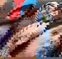 Adventurous Scavenger Hunt in Detroit by Zombie Scavengers - Accommodation Houston