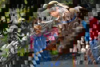 Youngsville La Accommodation Houston