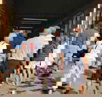 Unique Horse Farm Tours with Insider Access to Private Farms - Accommodation Houston