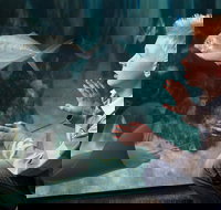 SEA LIFE Michigan Aquarium Admission Ticket - Accommodation Houston