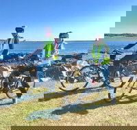 3.5hrs Coastal Tour Visit the Coastline Tucked Away Seaside Villages Mansions - Accommodation Houston