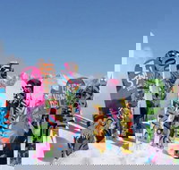 Big Sky Premium Snowboard Rental Including Delivery - Accommodation Houston