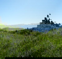 Hike to Chimney Rock with an Enthusiastic Tour Guide - Accommodation Houston