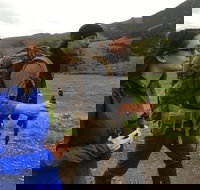 Sundowner Grizzly Excursion Tour - Accommodation Houston