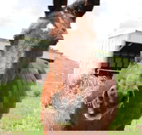 Keep Calm and Brush On - Accommodation Houston