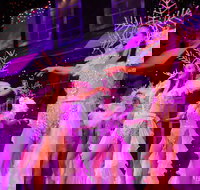 Branson's Christmas Wonderland - Accommodation Houston