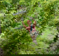 Zipline Canopy Tour in Branson - Accommodation Houston