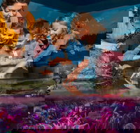 SEA LIFE New Jersey at American Dream - Accommodation Houston