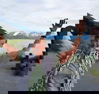 Wilderness Wildlife Glacier Experience from Anchorage - Accommodation Houston