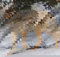 Summer All-In-One - Accommodation Houston