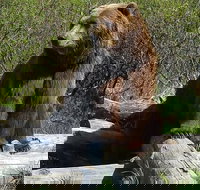 Alaska Wildlife Visit 1-hr. Glacier Cruise Adventure  Anchorage City Tour - Accommodation Houston