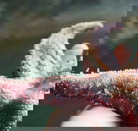 Alaska Ocean Wilderness Expedition - Accommodation Houston