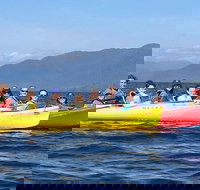 Ketchikan Kayak Eco-Tour - Accommodation Houston