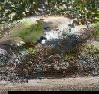 Glaciers and Wildlife Super Scenic Day Tour from Anchorage - Accommodation Houston