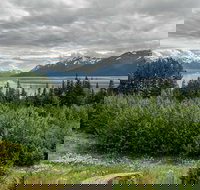 Alaska Wildlife Day Tour with Free Hotel Pickup - Accommodation Houston