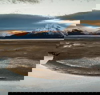 Tour of Turnagain Arm - Accommodation Houston